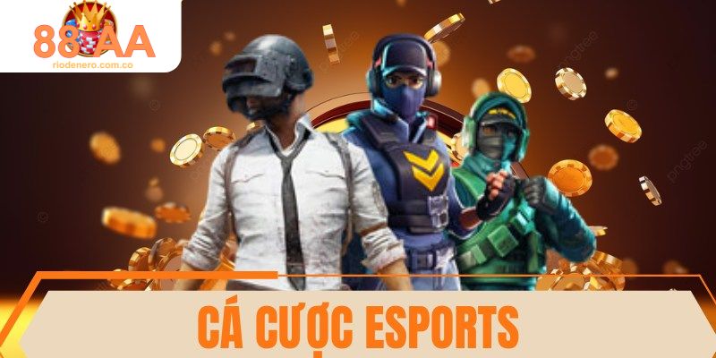 Cá cược Esports